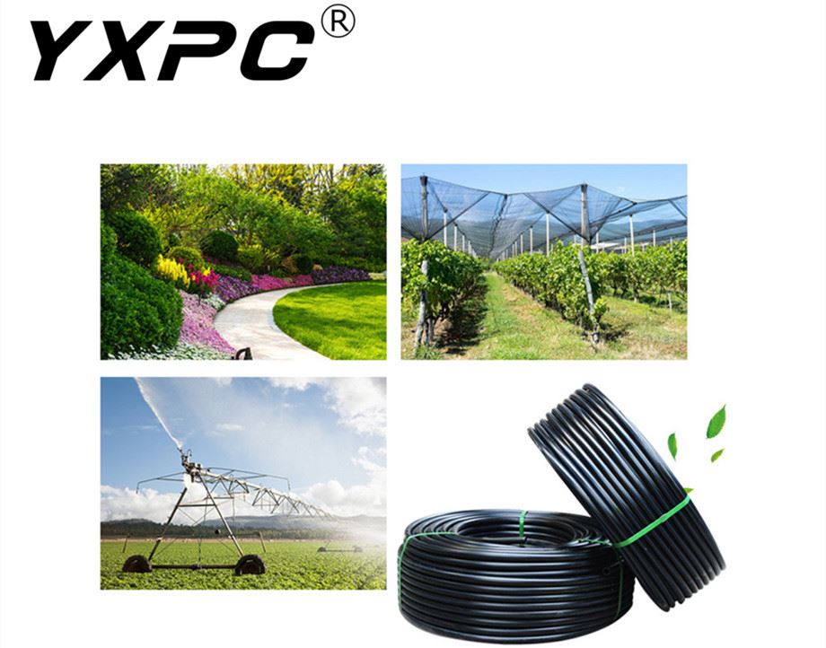 product-255-200 06
